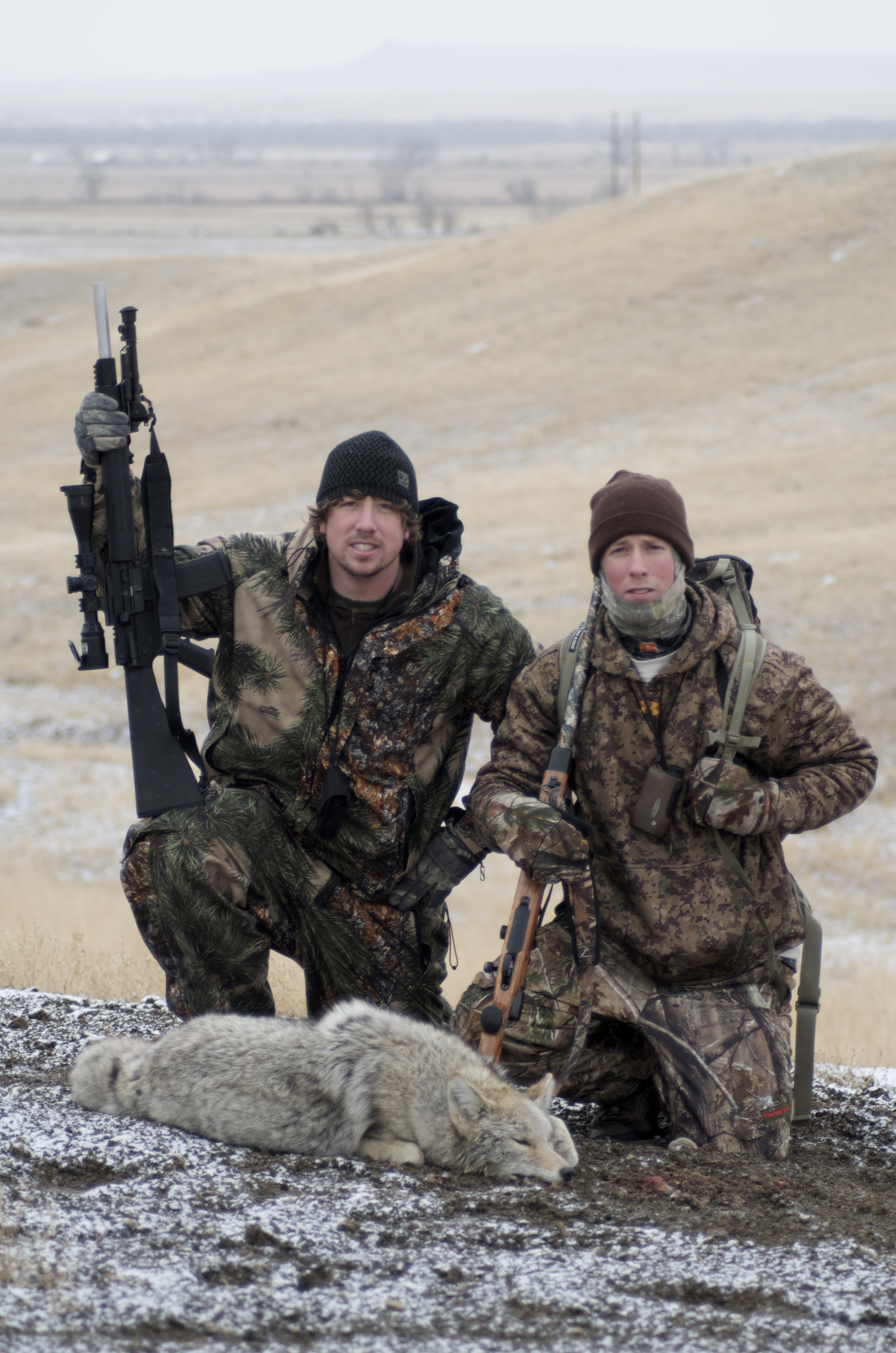 coyote hunting, Montana, Montana Wild, predator hunting, MT, calling, howling, distress calls, Primos, Nikon, Remington, Sitka