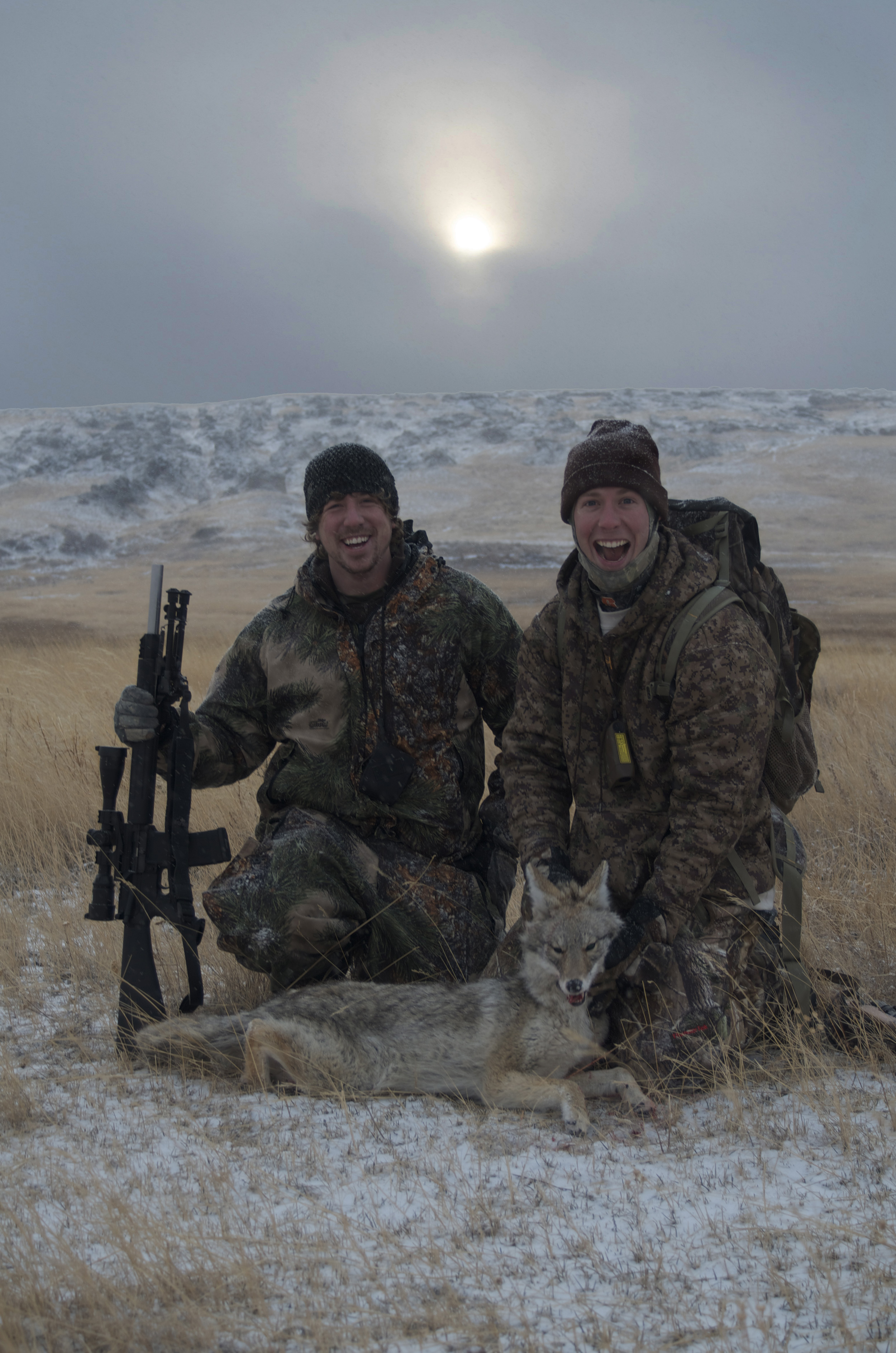 coyote hunting, Montana, Montana Wild, predator hunting, MT, calling, howling, distress calls, Primos, Nikon, Remington, Sitka