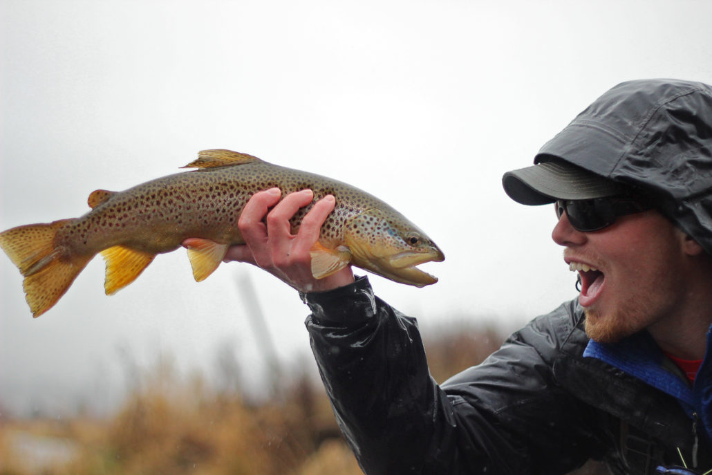 brown trout, montana, wild, streamer, rain, winter, outdoors, videos, 2013