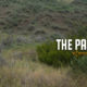 pack, out, elk, quarter, quartering, gutless, method, montana, wild, hunting, bowhunting
