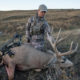 stalking, socks, mule, deer, hunting