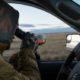 antelope, hunting, rifle, hunt, montana, wild