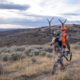 colorado, elk, rifle, hunting, sitka, gear