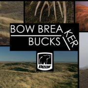 bow, breaker, bucks, mule, deer, bowhunting, archery
