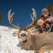 mule, deer, sitka, gear, mountain, buck