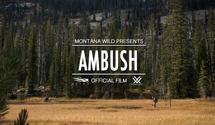 elk, hunting, archery, film, montana