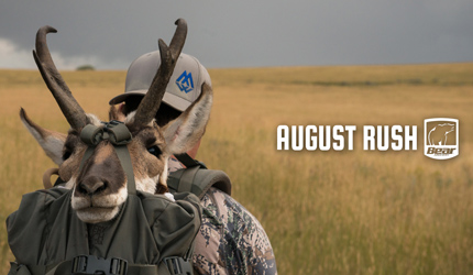 antelope hunting, bowhunting, montana