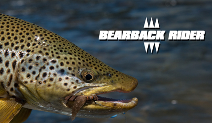 fly, fishing, brown, trout