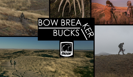 hunting, mule deer, montana