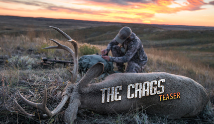 archery, mule deer, film, montana, wild