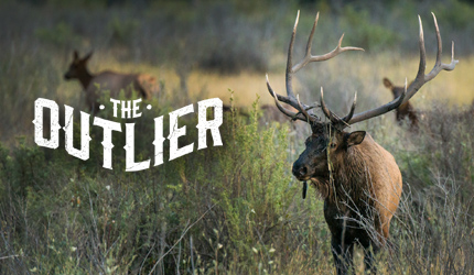 the outlier film, elk hunting, teaser, film