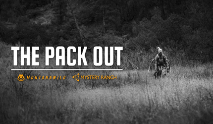 elk, hunting, film, montana, wild