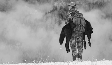 wolf, hunting, montana
