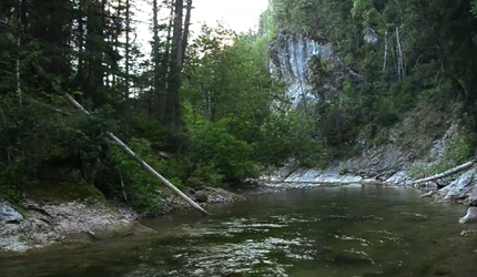 fishing, backcountry, montana, cutthroat