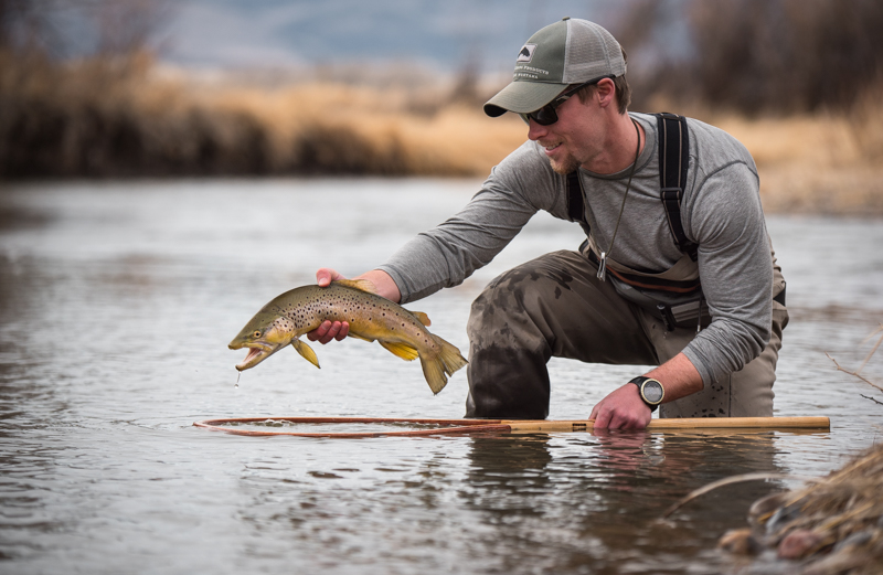 brown, trout, fly, fishing, montana, spring, wild