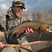 fly fishing, montana, rainbow trout