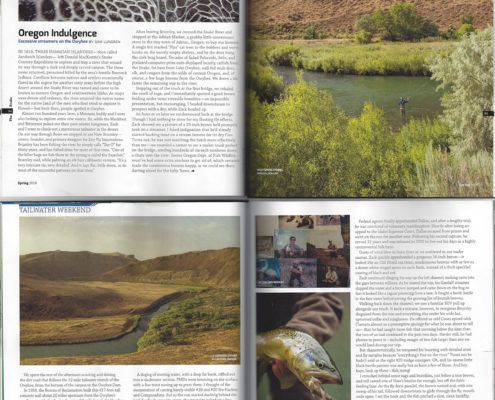 fly, fishing, brown, trout, owyhee, river, oregon