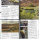 fly, fishing, brown, trout, owyhee, river, oregon