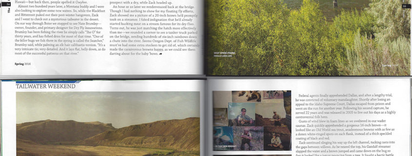 fly, fishing, brown, trout, owyhee, river, oregon