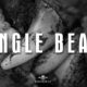 jungle bears, bear, hunt, idaho