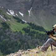 mountain goat, scouting, hunting, blog post, draw, tag, permit, montana