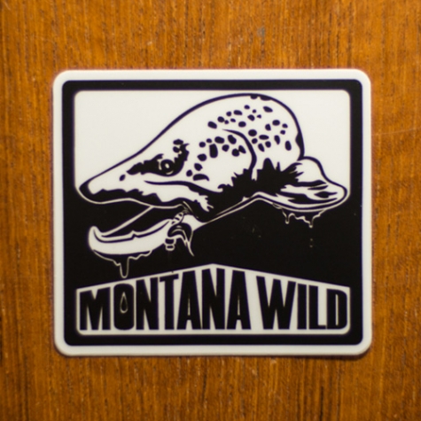 Montana Wild Burly Buck Trout sticker 