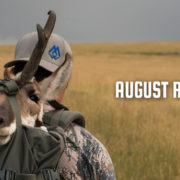august, rush, film, antelope, speedgoat, pronghorn, montana, wild, video, rifle, hunt, hunting
