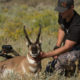archery antelope hunting, montana, antelope, archery, bowhunting, film, video