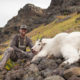 mountain goat, hunting, montana, wild