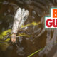 salmonfly, fishing, montana, video