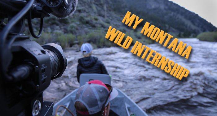 internship, outdoor, photography, film, video