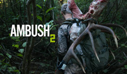 elk, hunt, Ambush, 2, two, montana, wild, archery, elk, bull, arrow, sitka