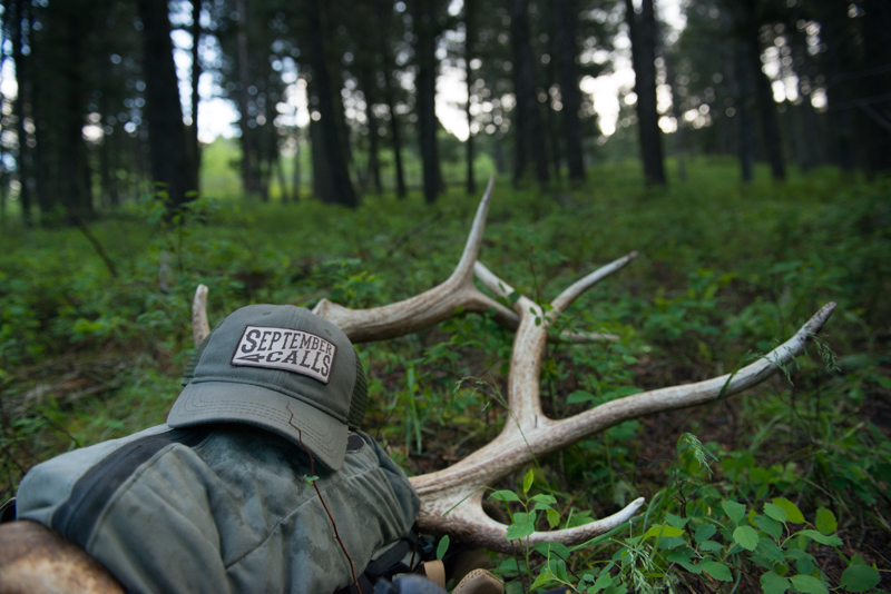 september calls, elk, elk hunting, apparel, montana wild, archery, bowhunting Montana, September, september calls apparel