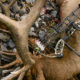 2018, bear archery, bow, promo, lineup, bowhunting elk, elk