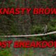 cost breakdown, bucknasty browns, 2, brown trout, new zealand