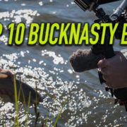 bucknasty browns, brown trout, eats, dry fly, mouse fishing, owyhee river, fly fishing