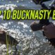 bucknasty browns, brown trout, eats, dry fly, mouse fishing, owyhee river, fly fishing