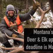 deer hunting, elk hunting, applications, March 15th, stoke, hunting, rifle hunting, bow hunting, applications, bull down, elk hunting, organic, meat, carnivore