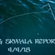 fishing, fly fishing, stoke, skwala, skywalk fishing, dry fly, brown trout, Montana Wild