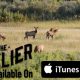 Outlier, elk hunting, bow hunting, archery, bull elk, bugle, iTunes, outdoor media, Montana Wild, Hunting film