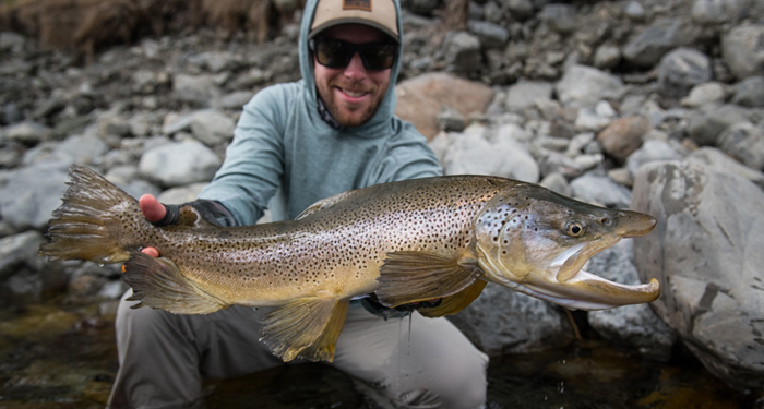new zealand, fly fishing, diy, south island, montana wild, brown trout, dry fly, fishing