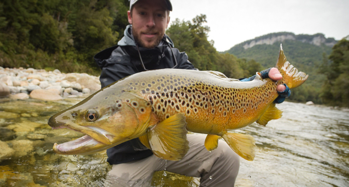 nz, new zealand, fly fishing, diy, backcountry, brown trout, south island